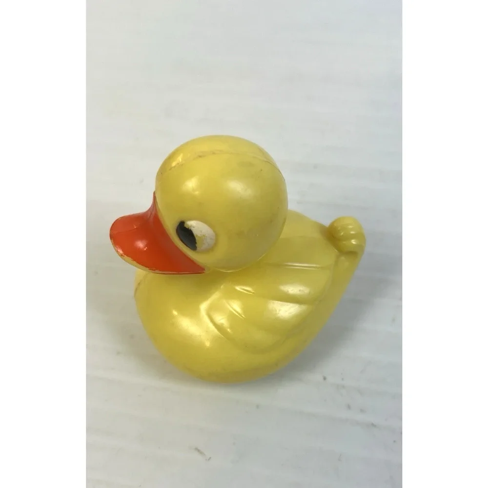 Vintage duck fish